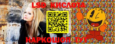 стафф Обнинск