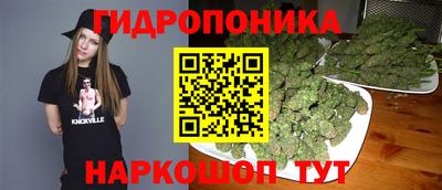 гидра Пенза