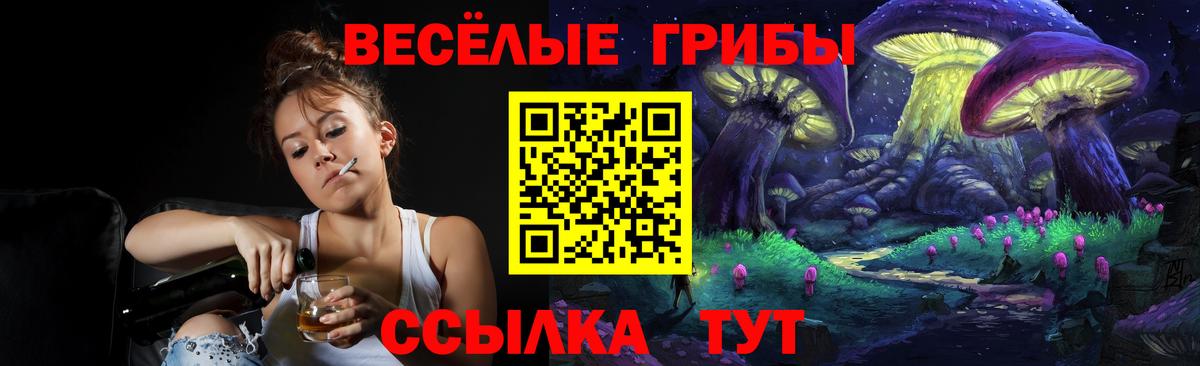 Псилоцибиновые грибы GOLDEN TEACHER Удомля