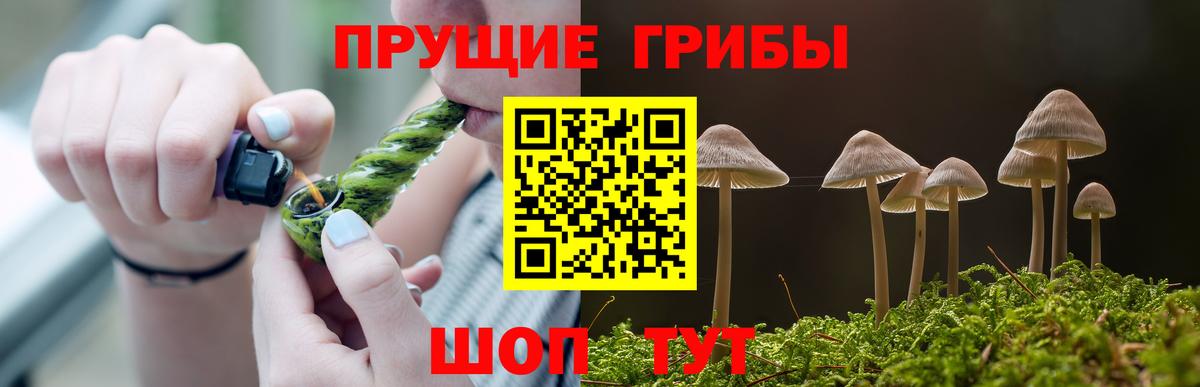 Удомля  Галлюциногенные грибы GOLDEN TEACHER  Вход с VPN 